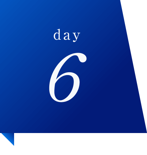 day6